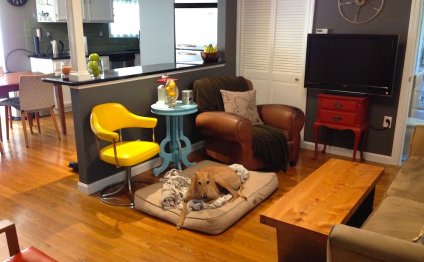 Frugal Hound guarding the