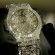 Highest price Watch in the world
